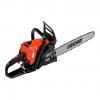 Echo CS-2511WES 12 (1)